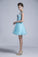 Splendid Scoop Neckline Short/Mini Open Back Dresses 2023 New Style