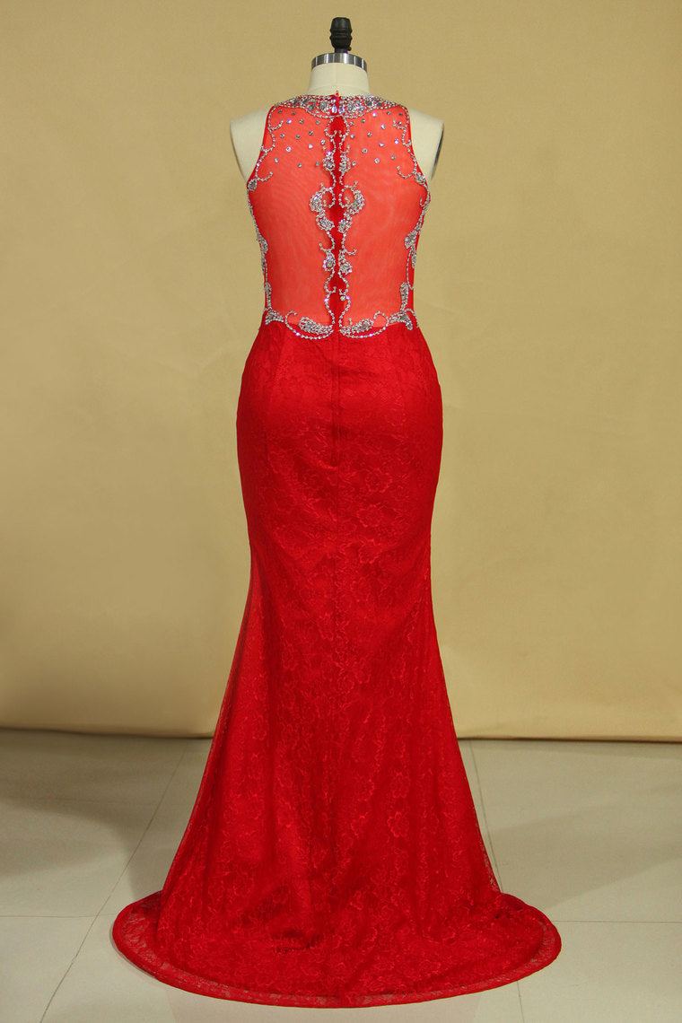 2023 Red Plus Size Prom Dresses Scoop Beaded Bodice Sweep Train Lace Mermaid