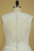 2023 Plus Size V-Neck Wedding Dresses A-Line Court Train Tulle With Applique & Belt Covered Button