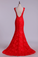 2023 V-Neck Tulle Evening Dresses Mermaid With Applique Sweep Train