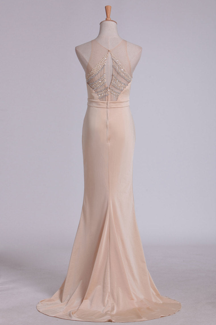2023 Evening Dresses Sheath Scoop Spandex With Beading Sweep Train