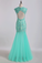 2023 Prom Dresses V Neck Mermaid/Trumpet Champagne With Applique&Beads Floor Length Tulle